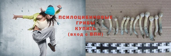 ECSTASY Абинск