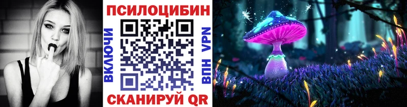Псилоцибиновые грибы Cubensis  Губкин 