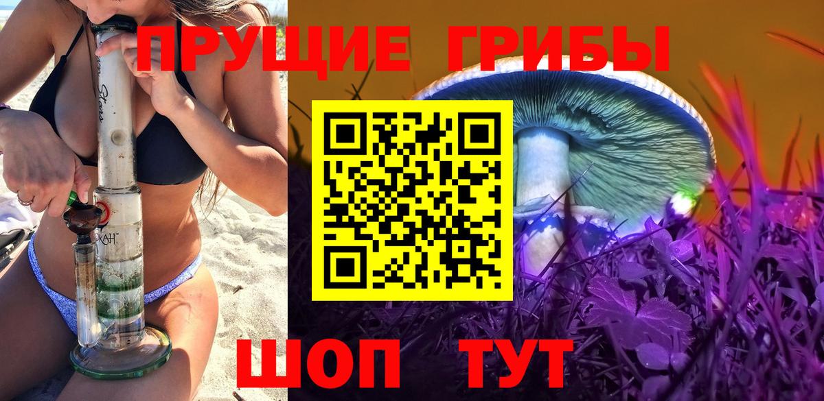 что такое наркотик  Псилоцибиновые грибы прущие грибы  Вход с VPN  Псилоцибиновые грибы мицелий  Губкин 